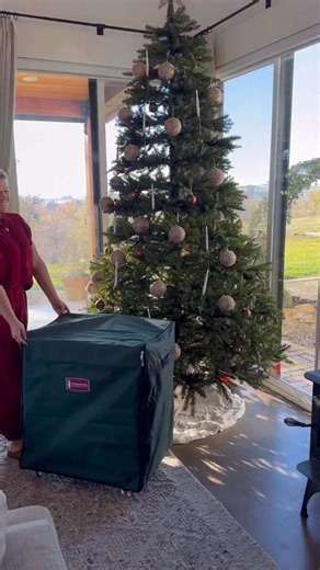 ✨ https://urlgeni.us/amazon/Christmasclean click for the links or COMMENT LINK 🎄 Holiday Storage Solutions That Make Cleanup EASY 🎄 If you’re packing away Christmas decor and already dreading next year… this is your sign to get organized now. From ornament storage boxes to tree bags, wreath containers, light reels, and stackable holiday bins, these Amazon holiday storage solutions keep everything protected, labeled, and stress-free. ✨ No more broken ornaments ✨ No tangled Christmas lights ✨ No