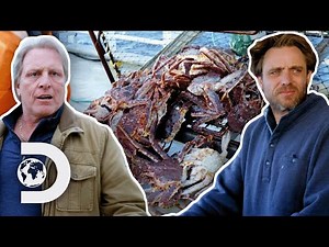 Sig & Jake Argue Over What Crab To Hunt | Deadliest Catch: The Viking Returns