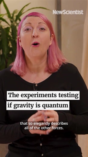 Innovative Experiments in Quantum Gravity Research