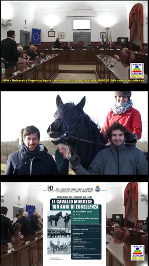 Jolanda Adelaar | We made history ❤️ For the first time ever, the Murgese horse has reached Grand Prix level, the highest level of dressage, the level... | Instagram