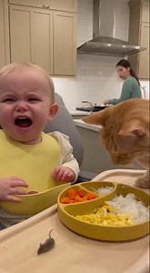 The Great Baby vs. Cat Food Heist! #cat #funnypet #animals #ai #ytshorts #growth