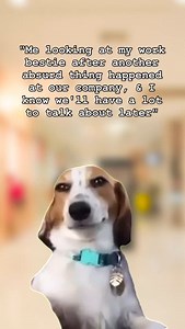 409K views · 15K reactions | ✨Me and my work bestie locking eyes across the office after witnessing yet another ridiculous situation unfold, already knowing our post-shift gossip session is about to be legendary. | Work Riding | Facebook