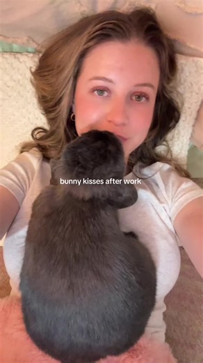 Adorable Bunny Kisses After Work