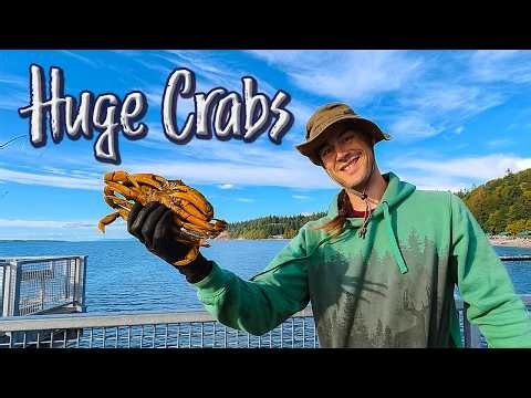 Legendary Crabs at Kayak Point Catch and Cook Crab Boil