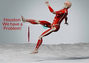 【Anatomy Lab】为什么拉伸时肌肉会收紧 | 了解牵张反射