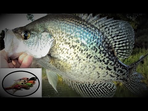 Fly Tying - Slab Crappie Silky Minnow