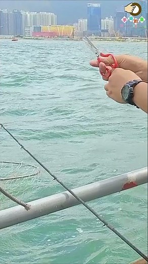 立蛇維港釣蛇 | 基哥 | 香港釣魚 | 手絲釣魚 | #Shorts