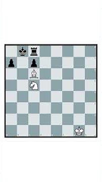 The Real Beginner's Guide to Chess #81