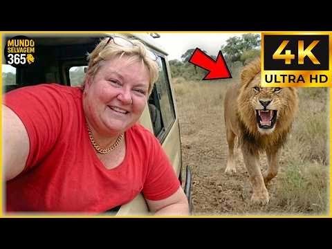 Os 40 Ataques de Animais Mais Brutais Flagrados em Câmera | Ataques da Vida Selvagem #111