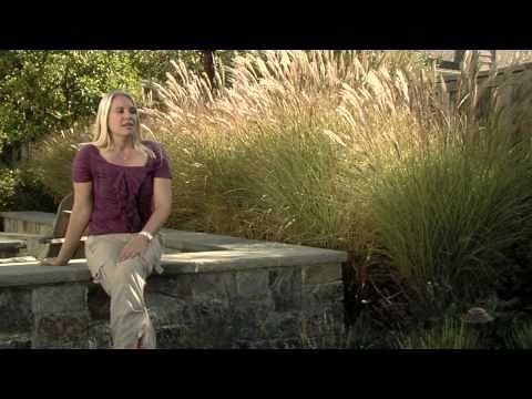 Mediterranean Plants For Landscaping