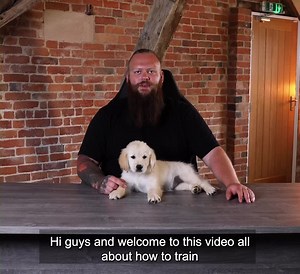 This video will teach you how to train your puppy to become the perfect canine companion, with: ⛔ No stress ⛔ No headaches ✅ Getting it right first time ✅ Your perfect puppy, guaranteed Watch the video now to find out more! | Fenrir Canine Leaders