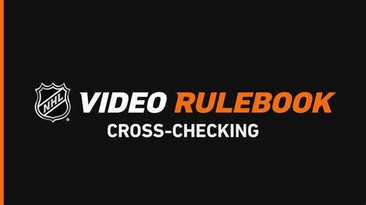 Video Rulebook: Cross-Checking