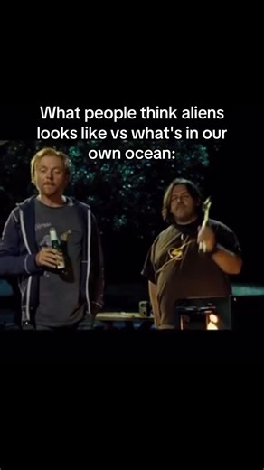 Fwiggin on Instagram: "Real #alien #alienmemes #aliensighting #oceanmemes #ocean"