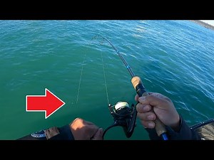 JIGGING THE DETROIT RIVER FOR FALL WALLEYE - DETROIT RIVER FISHING