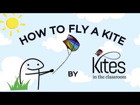 How to fly a kite for beginners