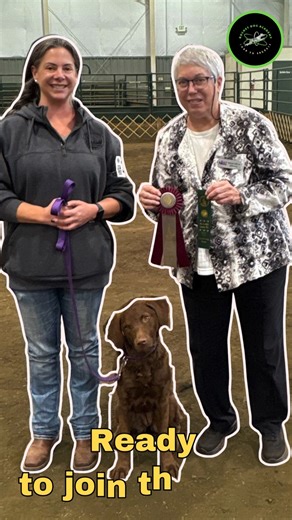 Holy Moly What a Rally Weekend! 🎉 20 Rocket Dog teams showed up for the Rally Trial in Lynden last weekend — and WOW, what a weekend it was! So many qualifying scores, placement ribbons, new titles, and even one team who earned a spot at the Rally National Championships in Ohio next year! 🇺🇸 Huge shoutout to Instructor Lisa for leading our Rally teams with such passion, expertise, and encouragement every step of the way. 💪🐾 We’re so proud of every dog-and-handler team who showed up, gave th