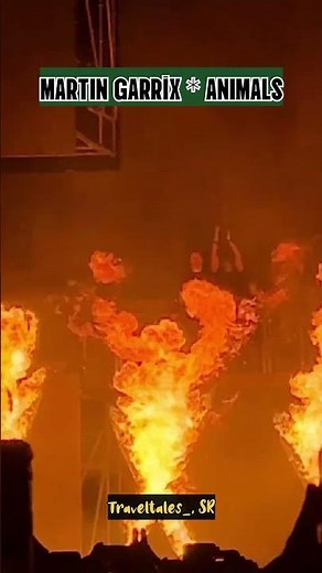 MARTIN GARRIX Animals live In Mumbai | Martin Garrix sunburnfestival india | #martingarrix