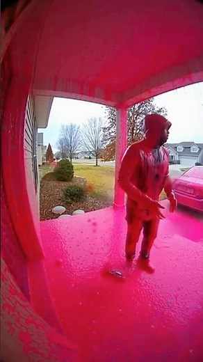 This Package Was RATTLED! Thief vs. Exploding Paint. 🤯