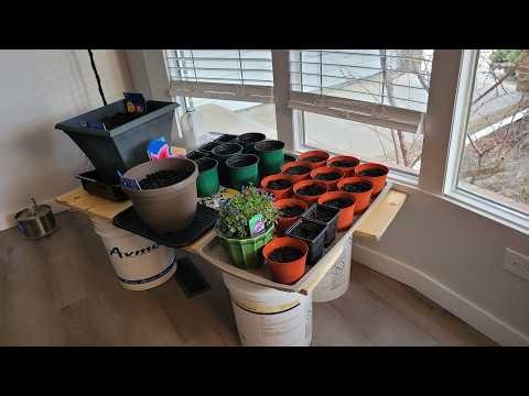 Planting My Dream Summer Garden! 🌷 Indoor Bulb Starting
