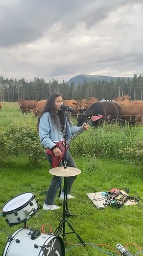 Our album is coming on Friday! These guys heard it first..🐮 Now it's your turn!🥰 | Ask Carol