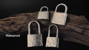 Watch stainless steel padlock on Amazon Live