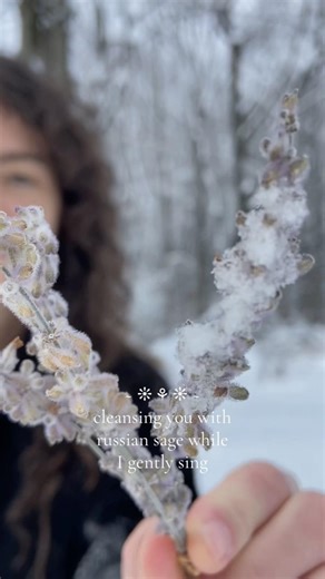 Cleansing you with russian sage while I gently sing ❄️🪻 #asmr #singing #flowers #humming #calming