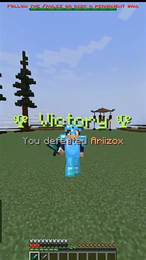 Minecraft Crit Combo