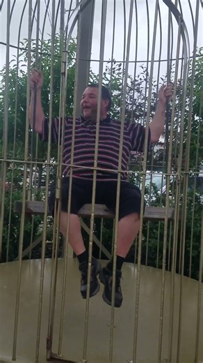 It's a DODO!!!!!!!! #birds #funny #zoo #birdsounds #animals