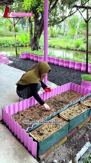Menanam Sayuran Di Rumah: Panduan dan Tips Praktis!