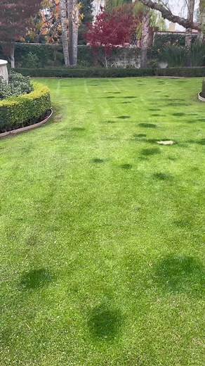 Carlos Scissors hands (@alducin3)’s videos with original sound - Carlos Scissors hands