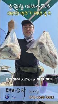 2028-08-03 홍원항 ⭐️에버스타호⭐️ 백조기 대박출조#낚시#홍원항 #바다낚시#선상낚시#백조기#홍원항에버스타호