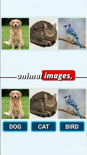 What are Labels in Machine Learning?