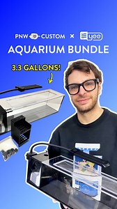Just dropped: the 3.3 Gallon PNW x Yee Aquarium Bundle: affordable, sleek peninsula design, crystal clear glass, optimized filtration, dimmable LED glow, and all the gear you need to start your desktop reef! 💡🪸🐡 | PNW Custom
