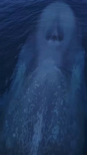 Every time they bring $TSLA down we ZAP THE FUCK out of them 🐳🐳🐳