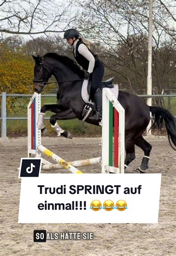 Trudi springt! 😍 Reitfortschritte werden sichtbar