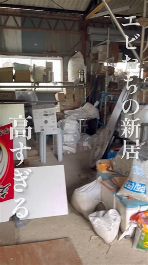 エビの人 | どうも！エビの人です！ オニテナガエビという、巨大なエビを養殖をしています。 ———————————— カネノナルキ、育てるしかないかあ… ※声抜けてて再アップしました🙇 ———————————— 北浦 雪帆@奈良... | Instagram