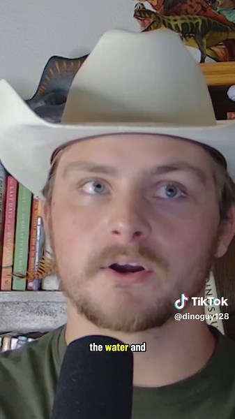 Replying to @b1theclanker before the dinosaurs, there were creatures like Lystrosaurus! Early synapsids that eventually gave the rise to mammals! They are also of the coolest extinct critters! Their survival of the great dying, and later success, is always a very fun tale to tell! #dinotok #dinosaur