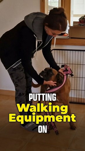 1.7K reactions · 23 shares | Let's talk about the moment when we...