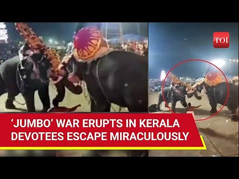 On Cam: Elephants Go Head-To-Head At Kerala Temple Festival, Locals Injured | Watch