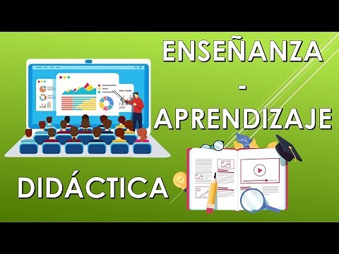 Is there a relationship between 'Didactics' and 'Teaching and Learning Process'? | Pedagogy MX