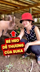 60K views · 878 reactions | Bé Heo Con Dễ Thương Của Suka #suka #hoanglinhmientay #hoanglinh | Hoàng Linh Miền Tây | Facebook