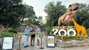T-Rex, triceratops and velociraptors at San Antonio Zoo