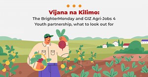 The BrighterMonday and GIZ Agri-Jobs 4 Youth partnership