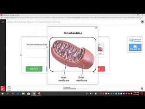 LearnSmart for Glencoe Science Grades 6 - 12: Virtual Access Support
