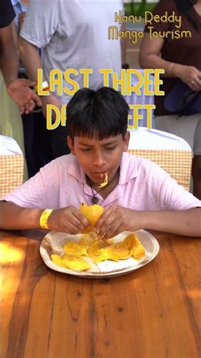 Day One Was Just the Beginning 🥭 | Mango Sunday Recap | Hanu Reddy Farms Chennai