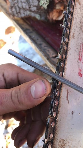 Lumbearjack on TikTok