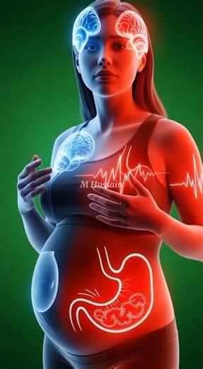 Water — Pregnancy Hydration Anatomy Explained (3D Medical Visuals) M Hussain