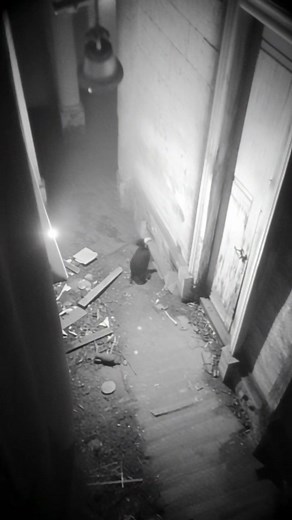 263K views · 1.2K reactions | Most Scary Footage of Ghost Temple #ScaryFootage #CCTV #viral | After Dark Horror | Facebook