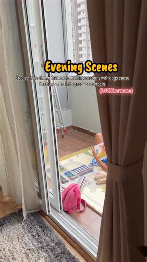 How do I explain this to someone who never had a dog? #dogvideos #dogreels #trendingnow #leoandbruno #cutedogs #dogmom #mykids #funnydogs #itsmeceyone #dogsarefamily #goldenretriever #labrador | Avi K