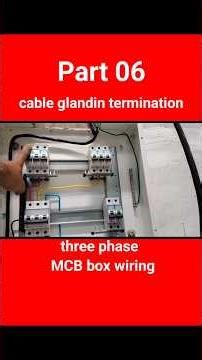 Wiring a 4-Way MCB - TPN MCB Explained #electricalmanoj #electrical #cable